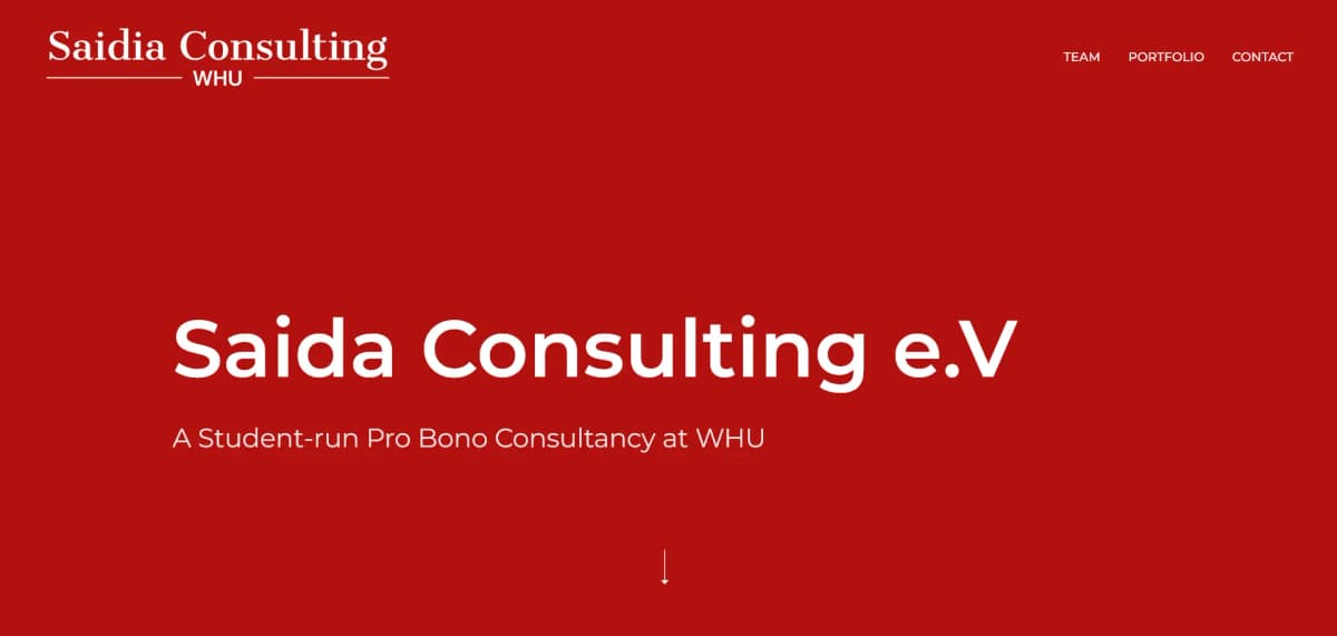 Saida Consulting image